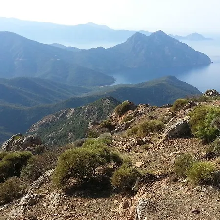 Davia Ξενοδοχείο 3*