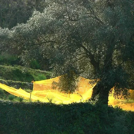 Davia 3* LʼÎle-Rousse