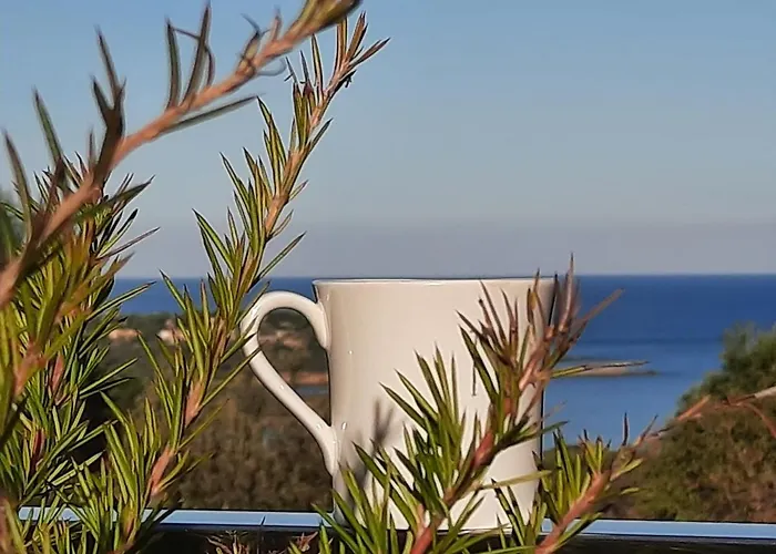 酒店 Davia LʼÎle-Rousse