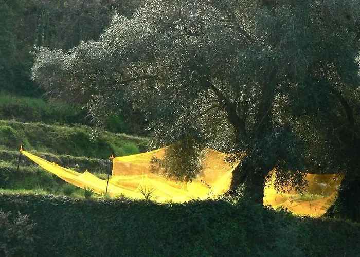 Davia 3* LʼÎle-Rousse